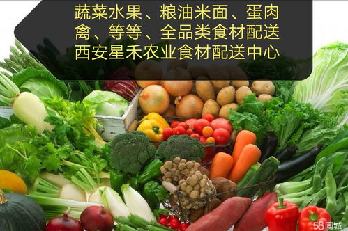 食堂送菜配送蔬菜公司 為餐飲行業提供高效、新鮮的蔬菜供應