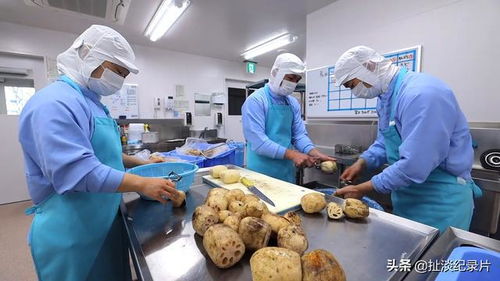 從“食育”到品質(zhì) 探秘日本中小學(xué)的營養(yǎng)午餐之旅